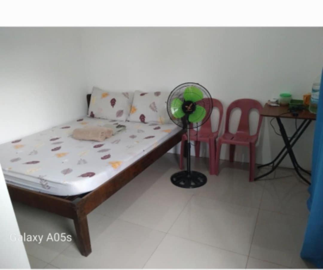 סן ויסנטה Francis Home Stay Port Barton Bonifacio Street מראה חיצוני תמונה